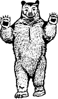 BEAR009